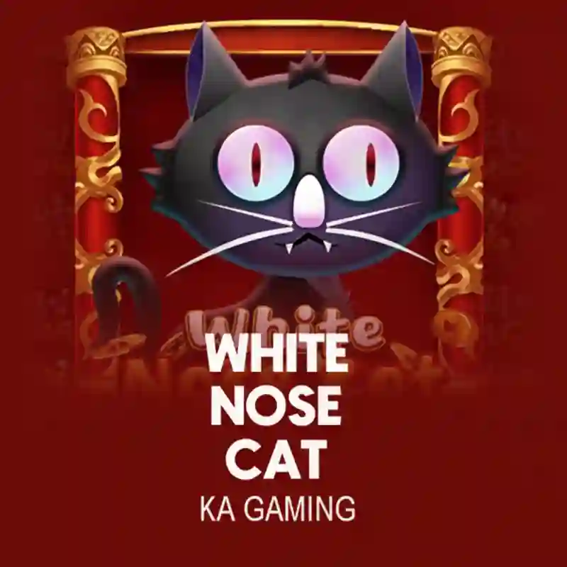 White Nose Cat